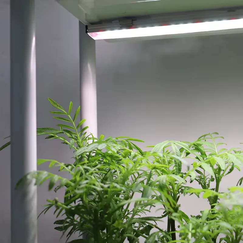 Smart Garden Vertical Planter - Verplaatsbaar verticaal 3-laags zelfwaterende slimme tuinplantbak