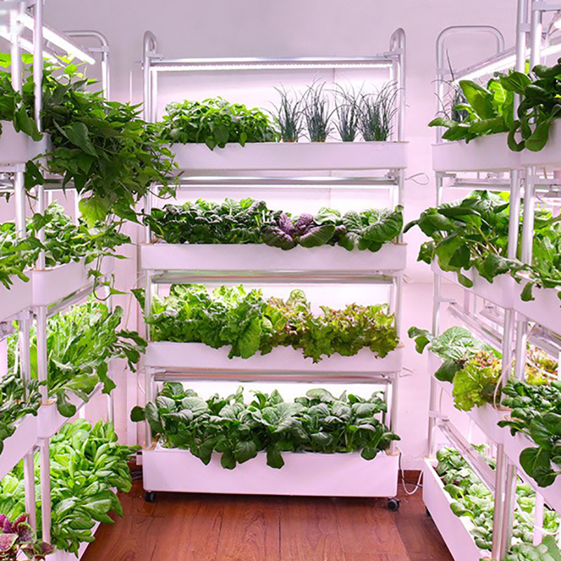 Smart Garden Vertical Planter - Hydrocultuur kweeksysteem Verticaal Slim Binnen Groeiende