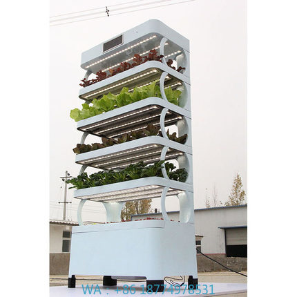 Smart Garden System - arming Home Hydrocultuur kweeksystemen Nieuwe collectie
