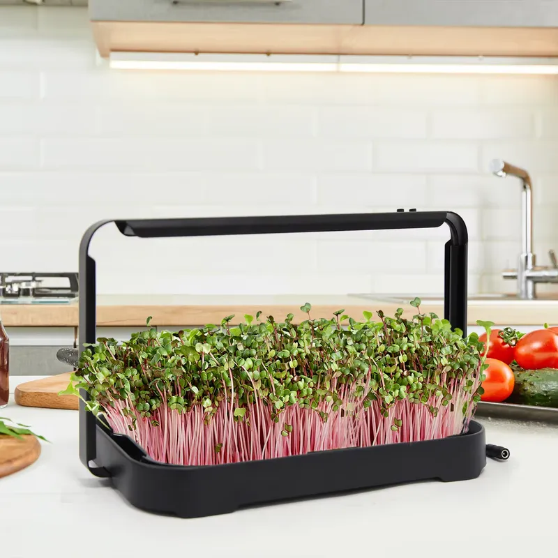 Smart Garden System - Hydroponische Bak Indoor Microgreen Microgreen Zaden