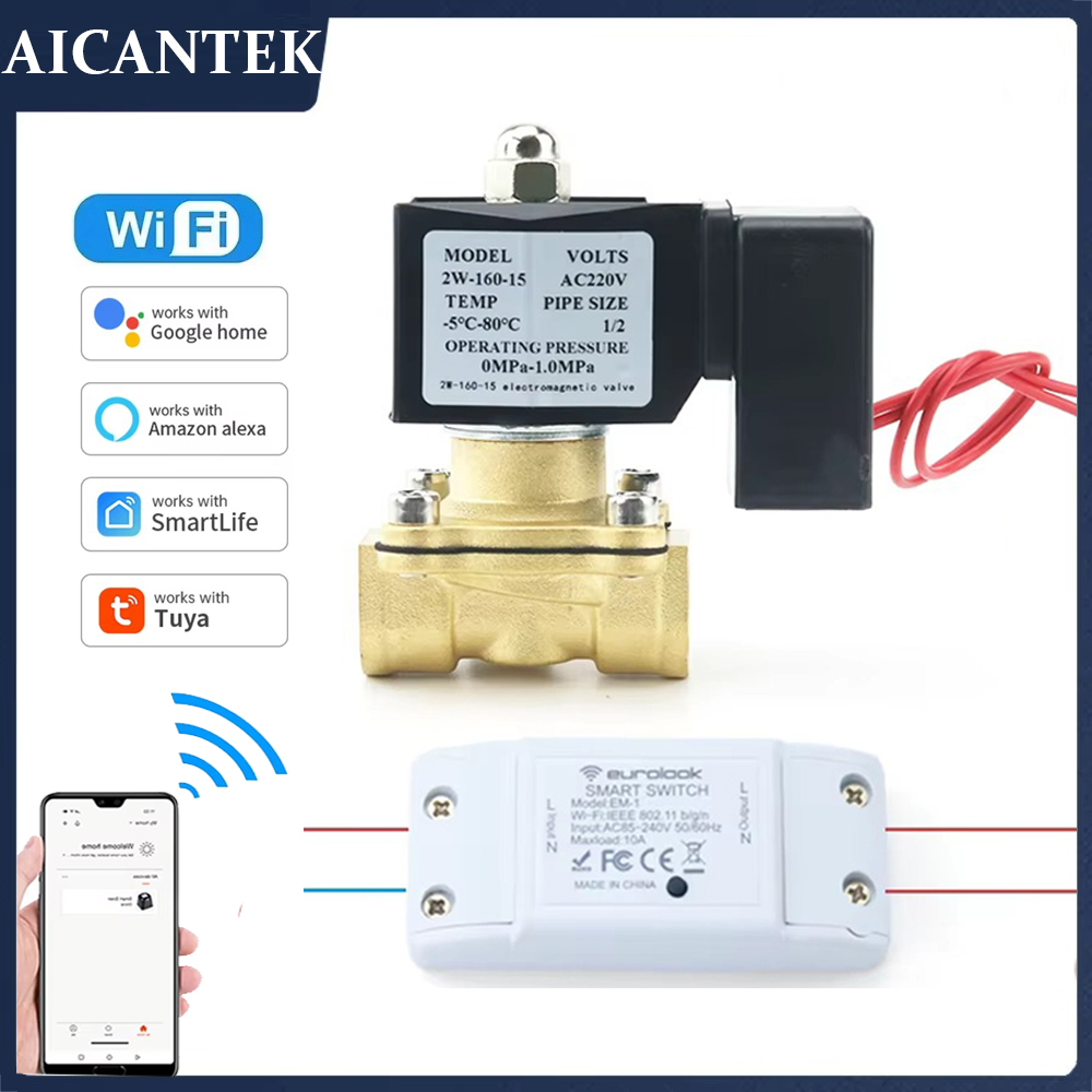 AC220V Tuya WiFi Smart Magneet - Smart Garden Instructions recensie en prijs