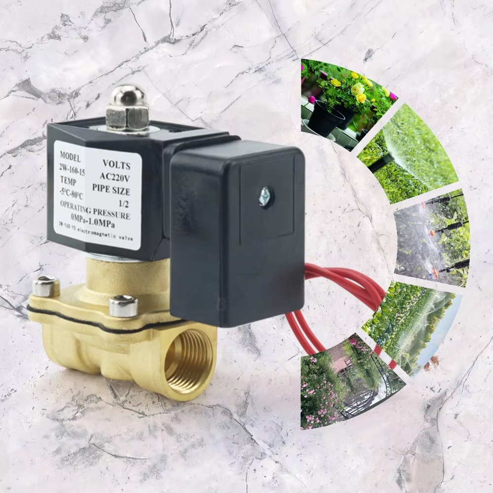 AC220V Tuya WiFi Smart Magneet - Smart Garden Instructions recensie en prijs