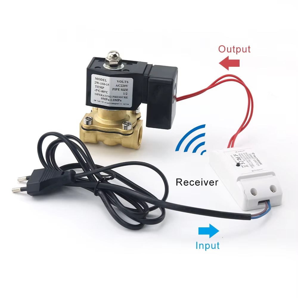 AC220V Tuya WiFi Smart Magneet - Smart Garden Instructions recensie en prijs