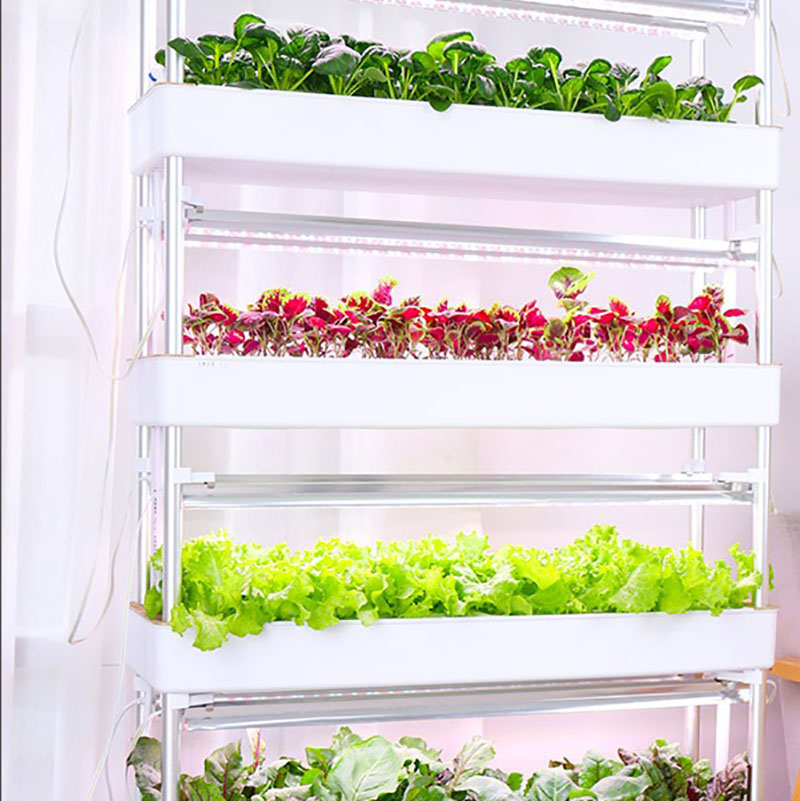 Hydrocultuur kweeksysteem Vert - Smart Garden Vertical Planter recensie en prijs