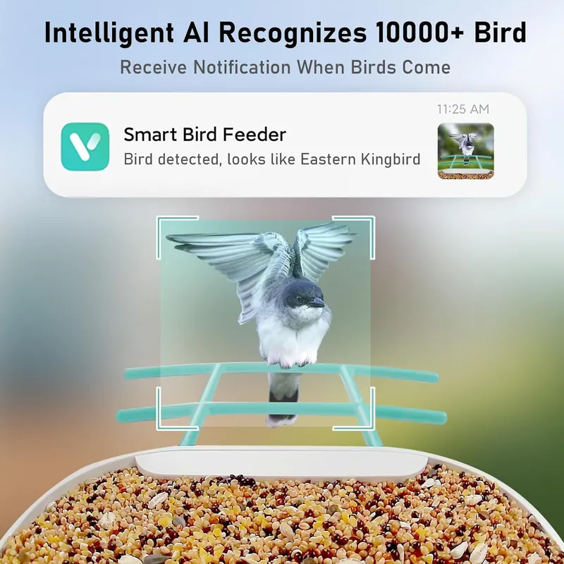 Slimme Vogelvoedercamera met A - Smart Garden Video recensie en prijs
