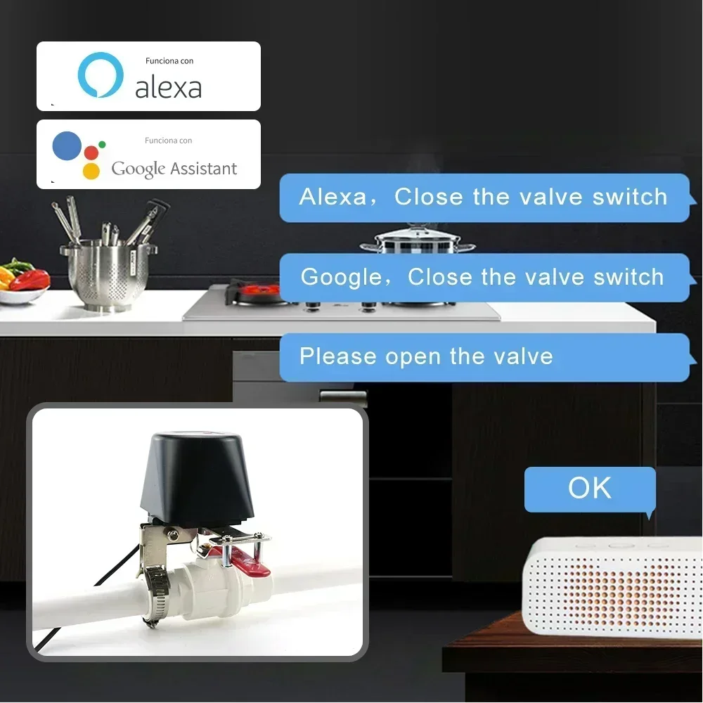 Tuya Zigbee Smart Gasklep WIFI - Smart Garden Instructions recensie en prijs